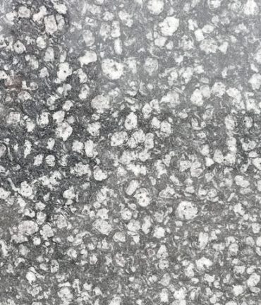 Coin Black Granite